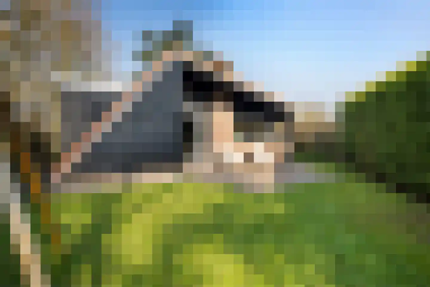 Raadhuisstraat 27 h78 Dirkshorn thumbnail 32