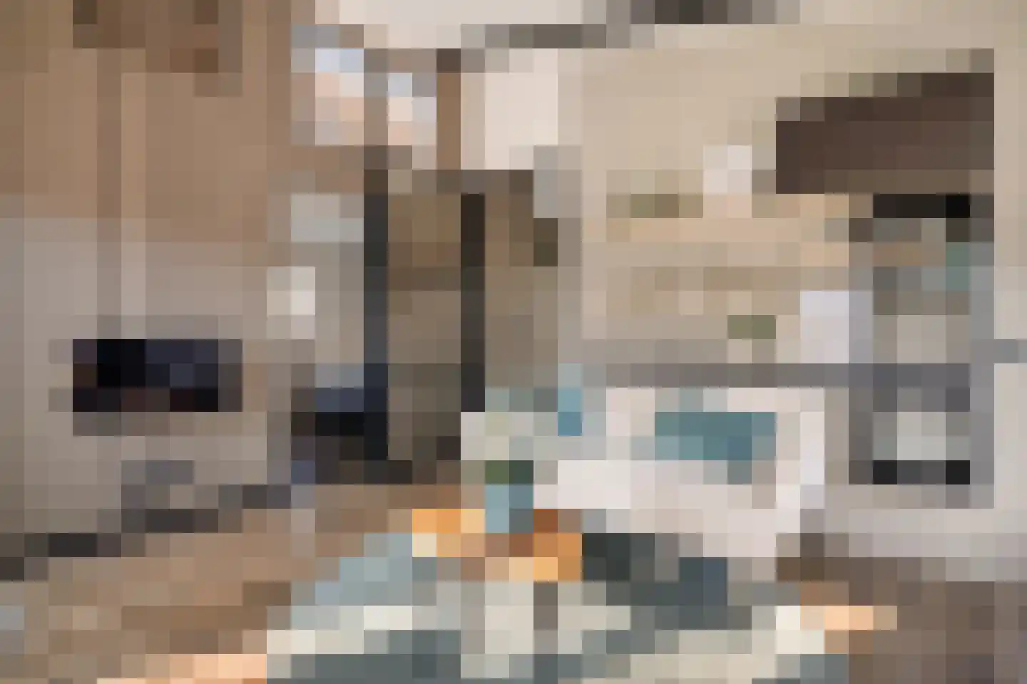 Raadhuisstraat 27 h78 Dirkshorn thumbnail 8
