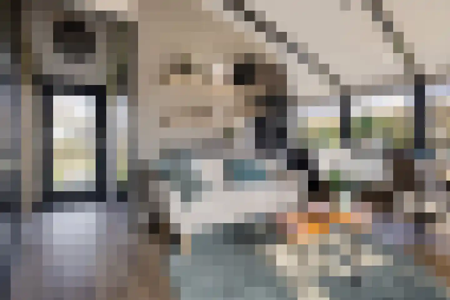 Raadhuisstraat 27 h78 Dirkshorn thumbnail 9