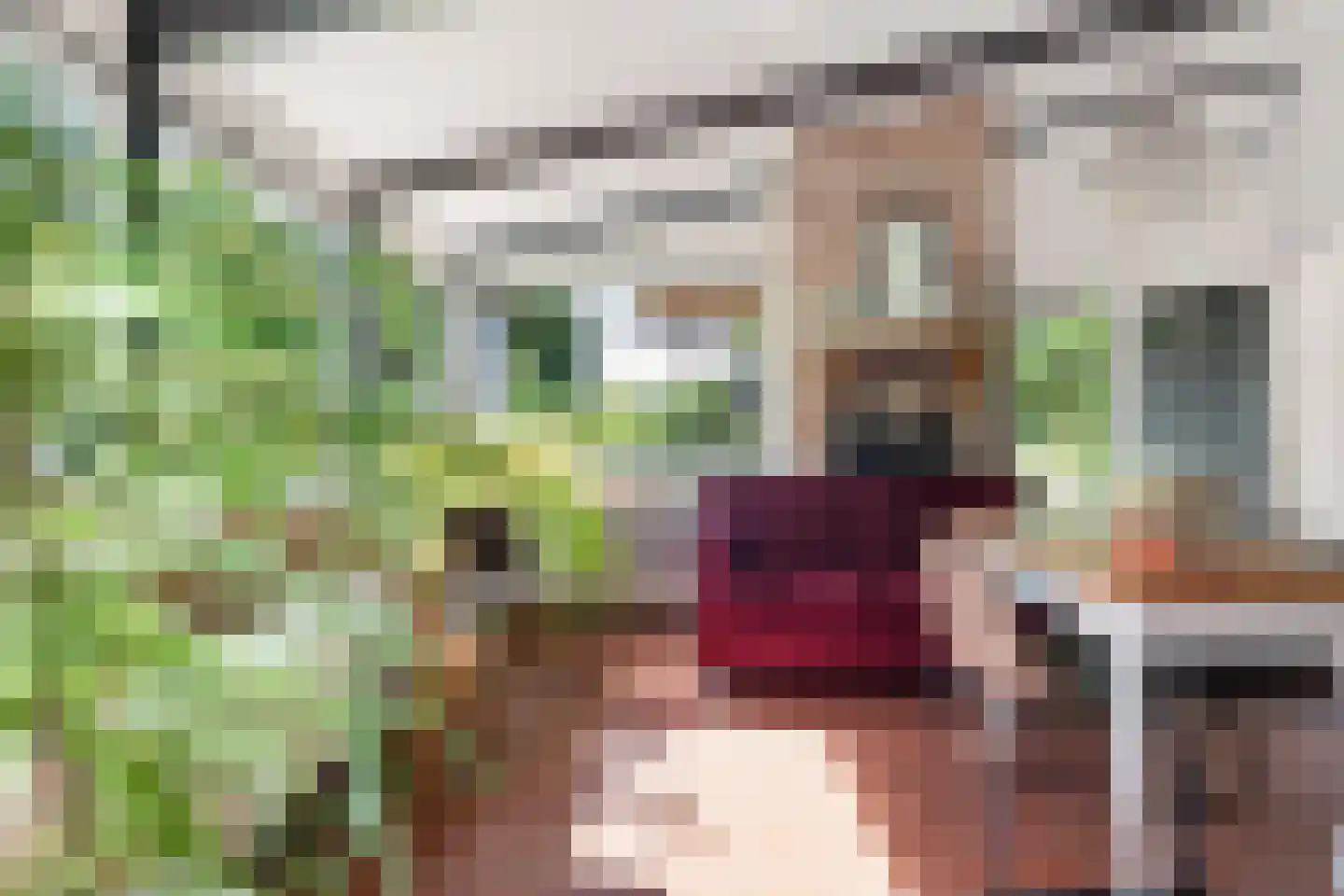 Raadhuisstraat 27 h85 Dirkshorn thumbnail 10