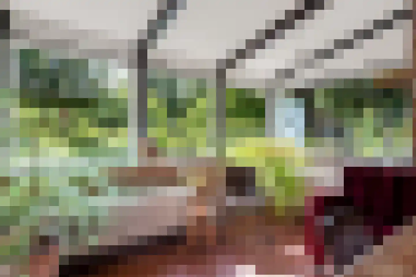 Raadhuisstraat 27 h85 Dirkshorn thumbnail 11