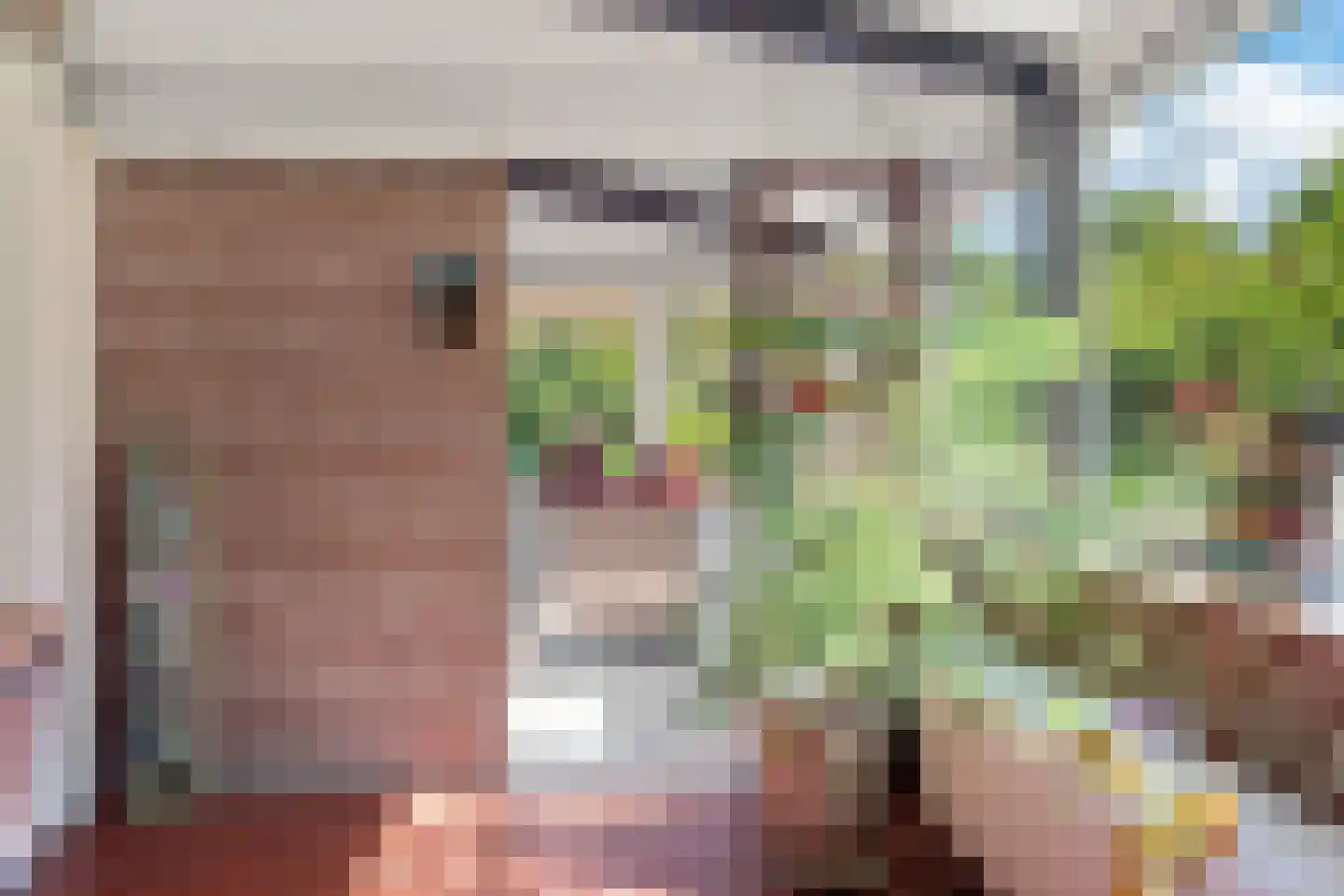 Raadhuisstraat 27 h85 Dirkshorn thumbnail 14