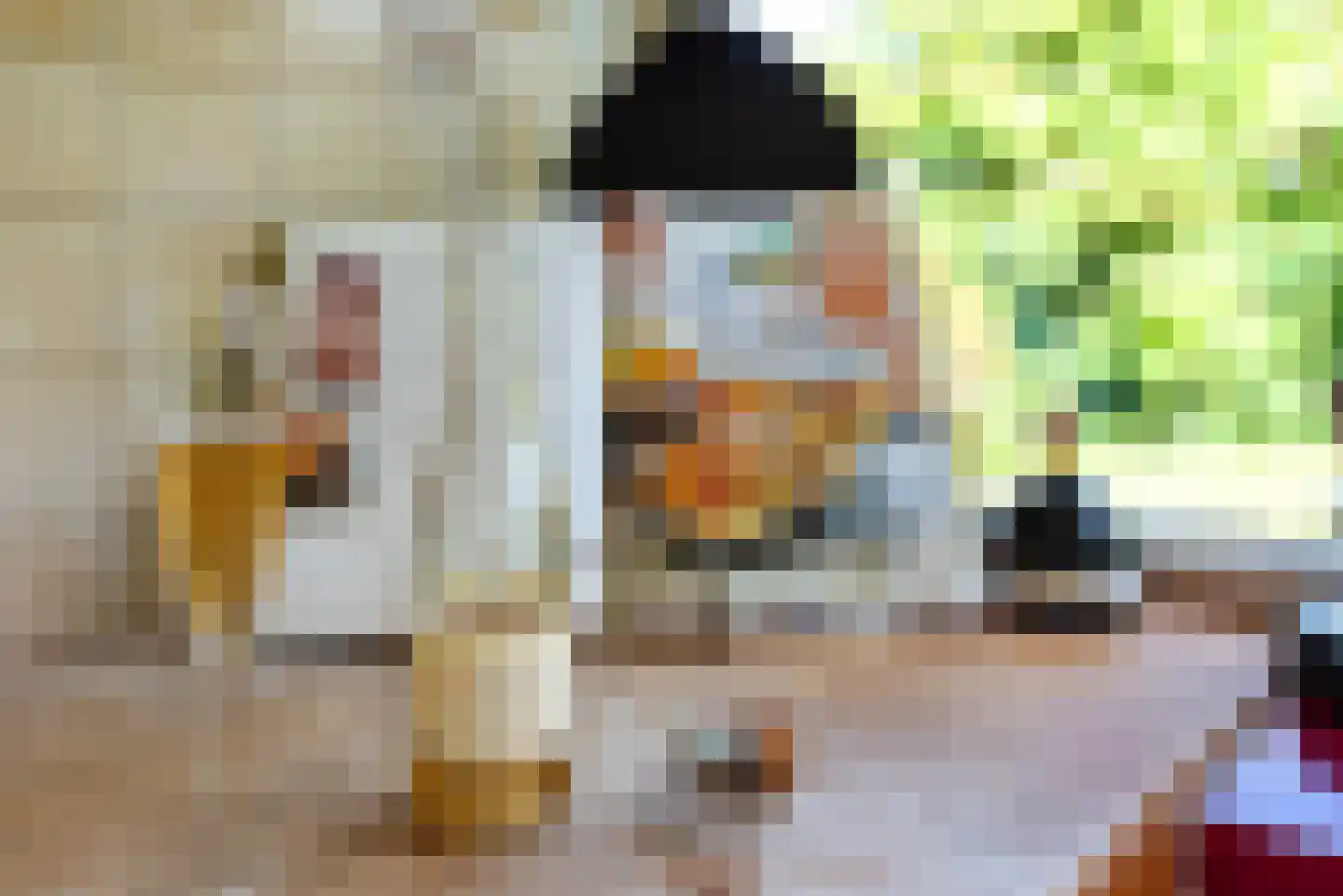 Raadhuisstraat 27 h85 Dirkshorn thumbnail 18