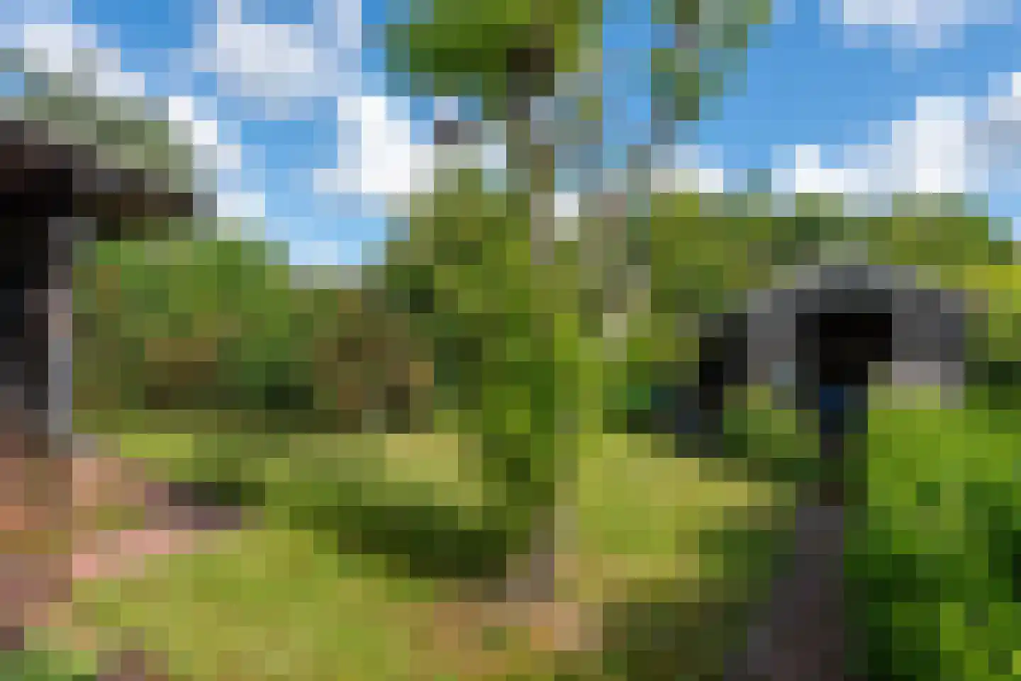 Raadhuisstraat 27 h85 Dirkshorn thumbnail 29