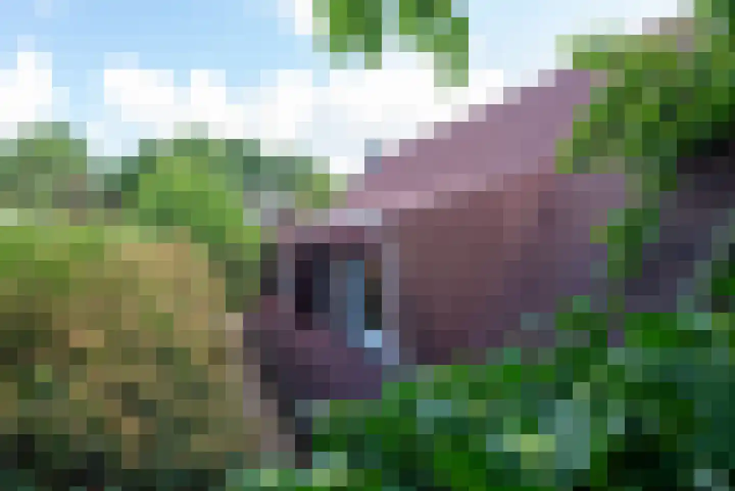 Raadhuisstraat 27 h85 Dirkshorn thumbnail 33