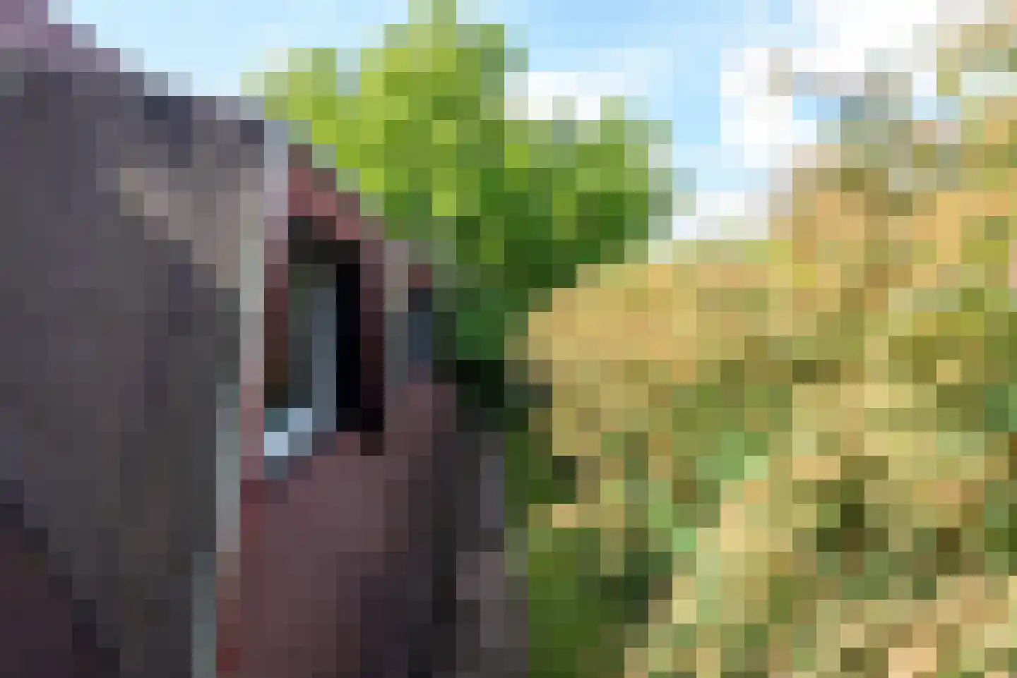 Raadhuisstraat 27 h85 Dirkshorn thumbnail 34
