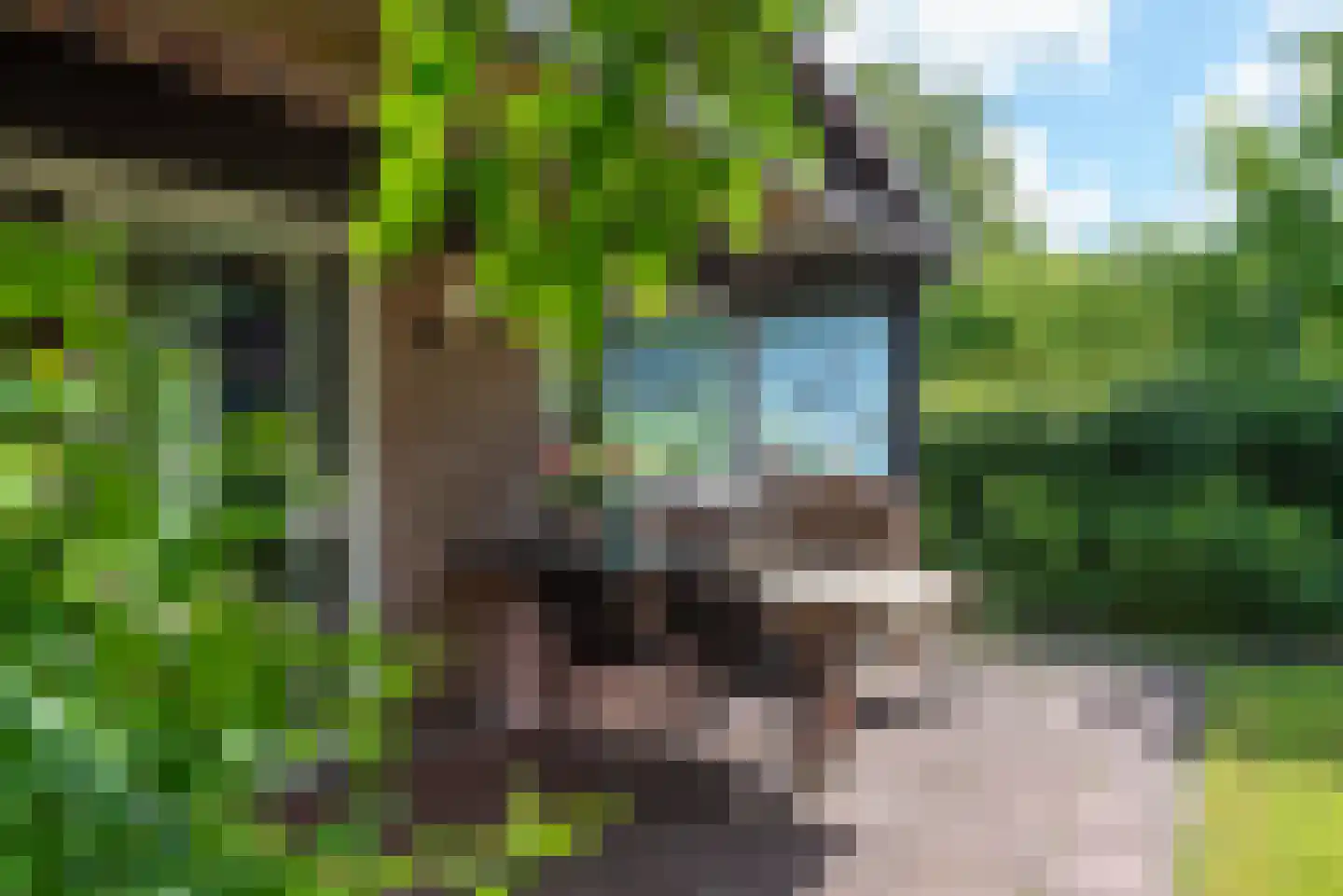 Raadhuisstraat 27 h85 Dirkshorn thumbnail 36