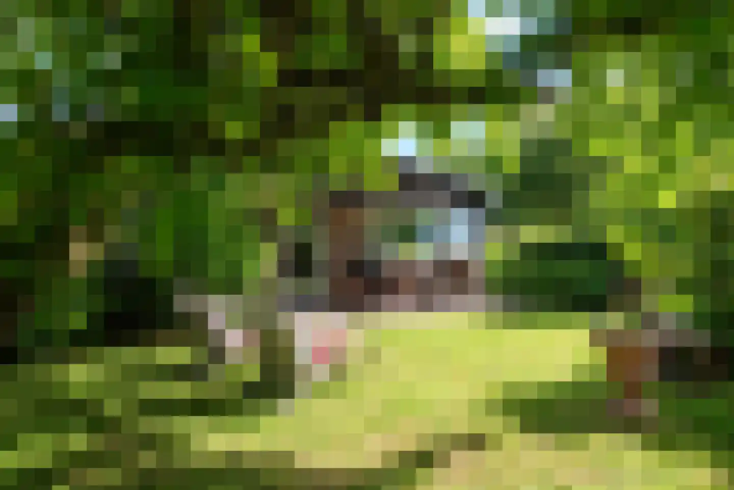 Raadhuisstraat 27 h85 Dirkshorn thumbnail 37
