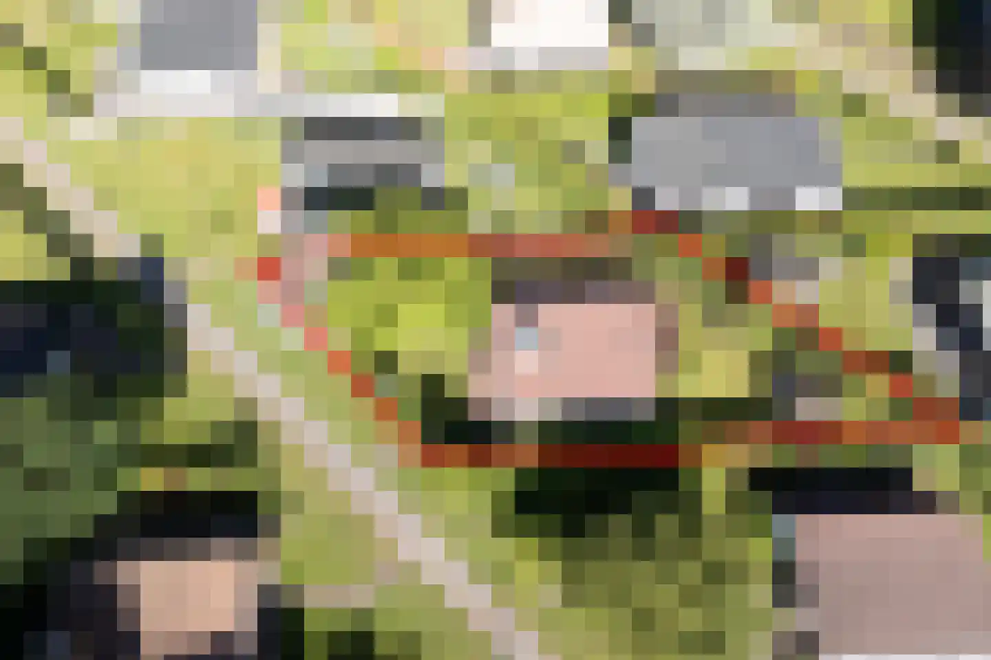Raadhuisstraat 27 h85 Dirkshorn thumbnail 4