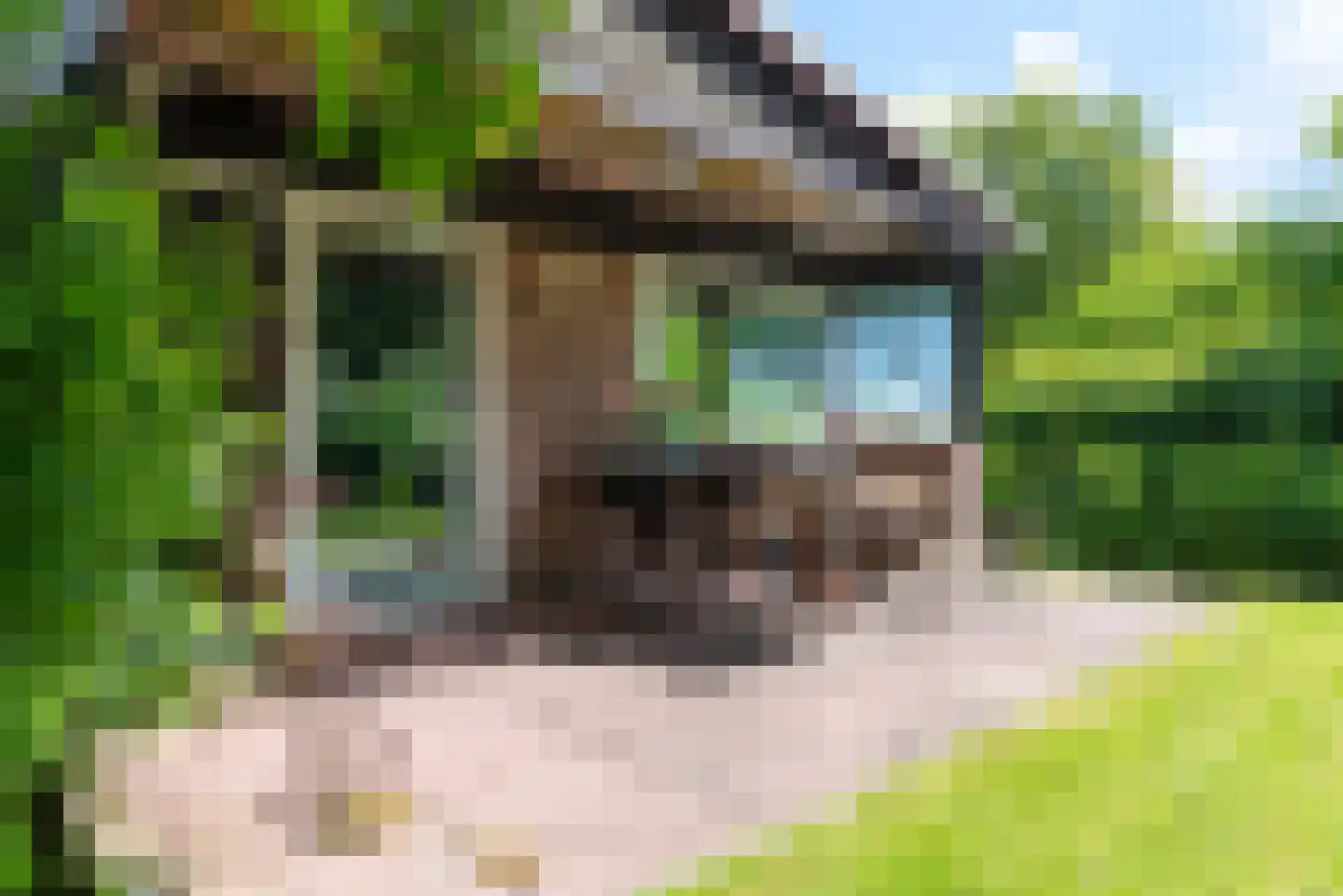 Raadhuisstraat 27 h85 Dirkshorn thumbnail 40