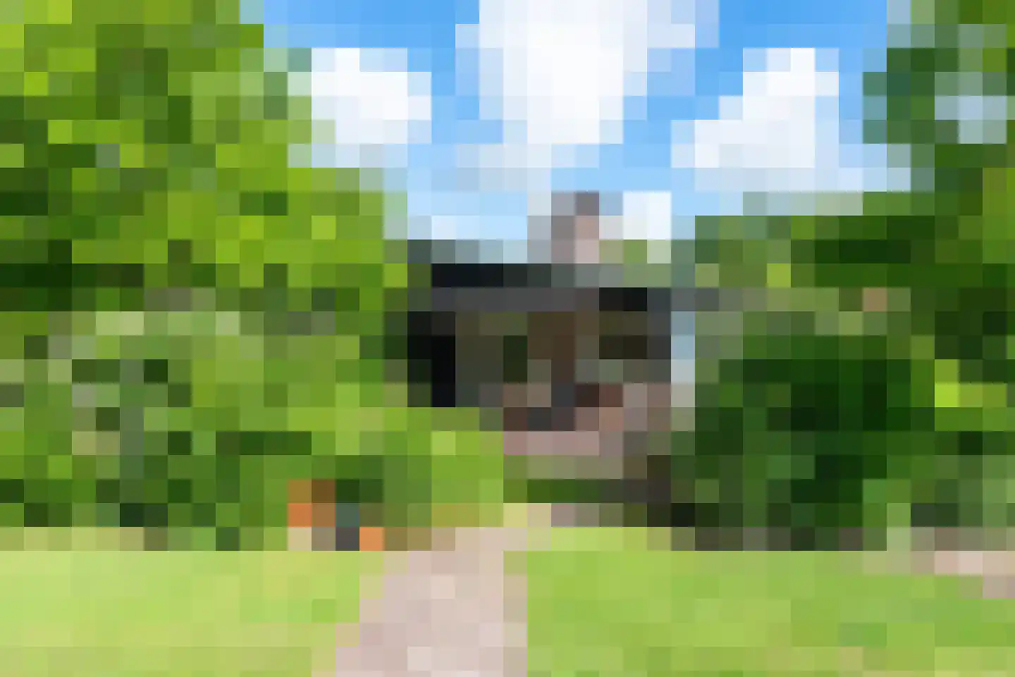 Raadhuisstraat 27 h85 Dirkshorn thumbnail 41