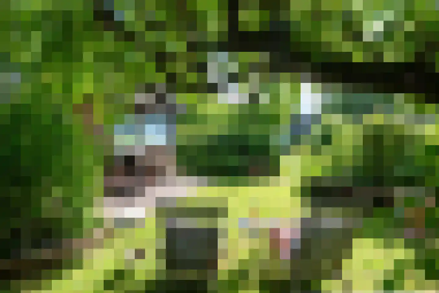 Raadhuisstraat 27 h85 Dirkshorn thumbnail 5