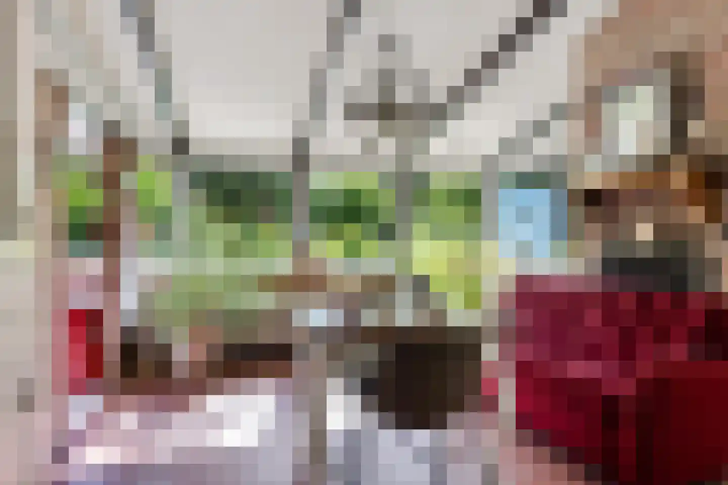 Raadhuisstraat 27 h85 Dirkshorn thumbnail 7