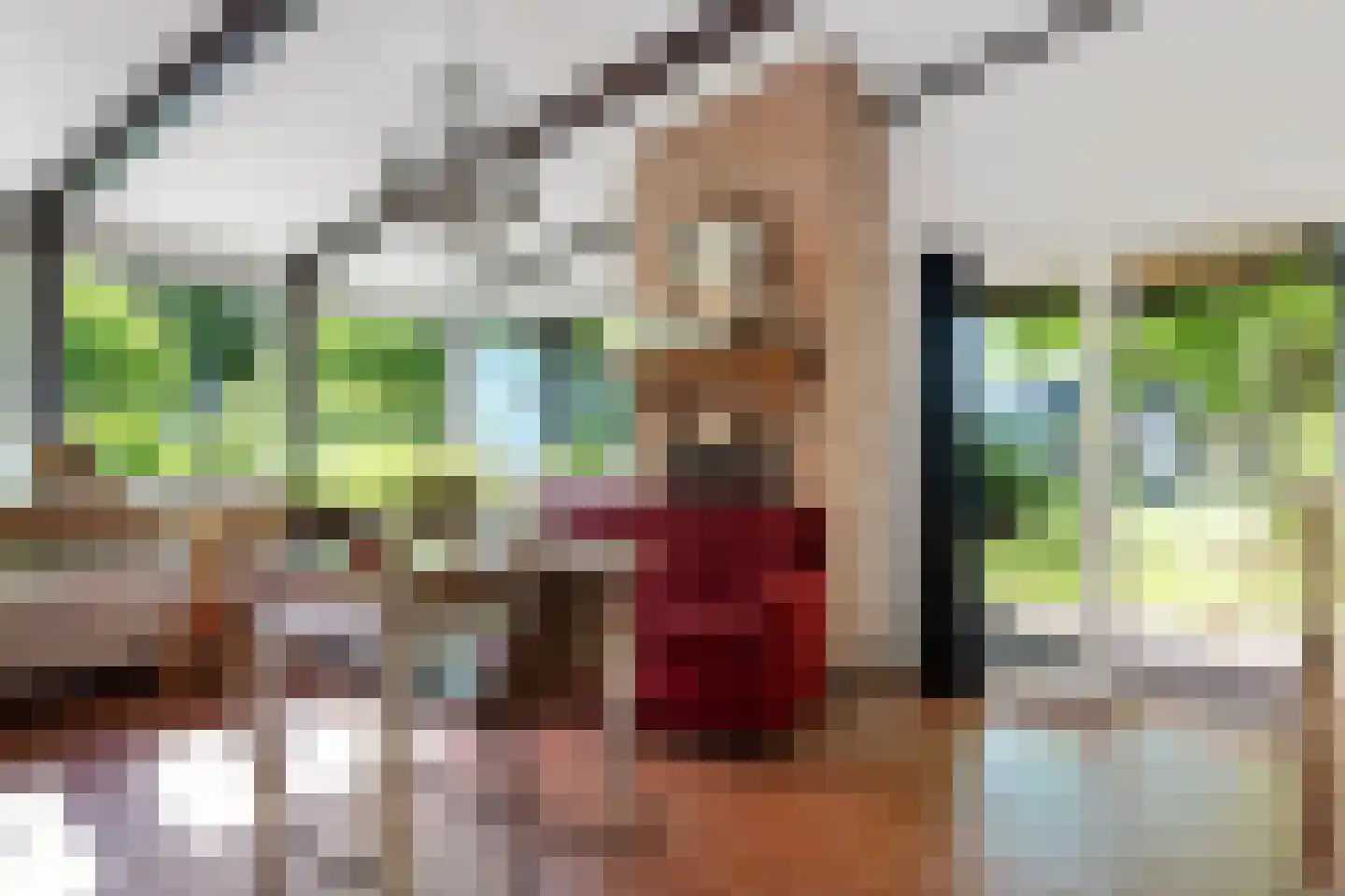 Raadhuisstraat 27 h85 Dirkshorn thumbnail 8