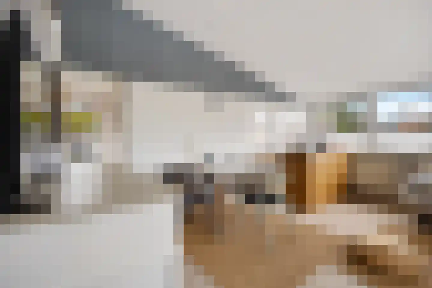 Raadhuisstraat 27 h87 Dirkshorn thumbnail 14