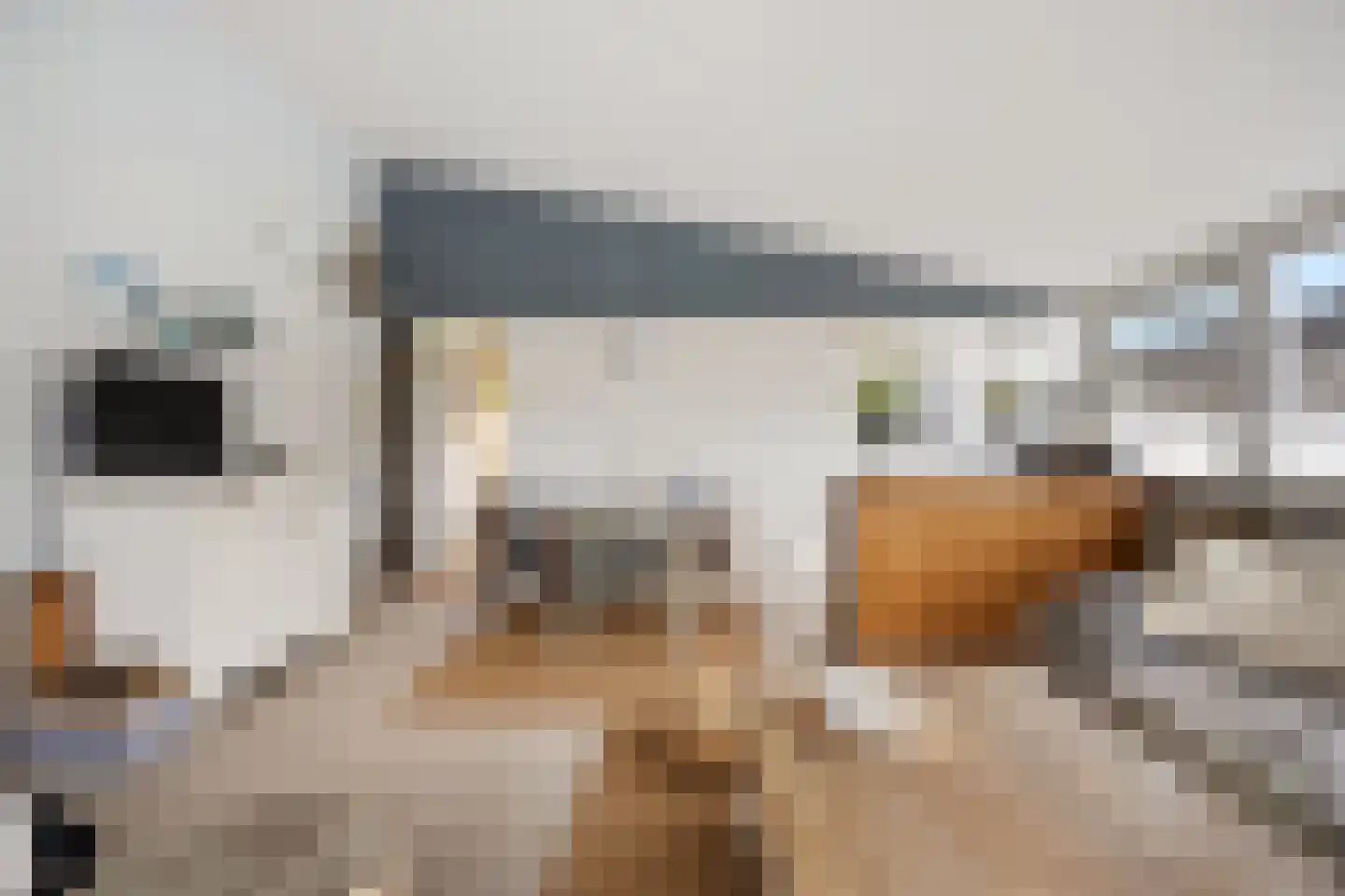 Raadhuisstraat 27 h87 Dirkshorn thumbnail 15