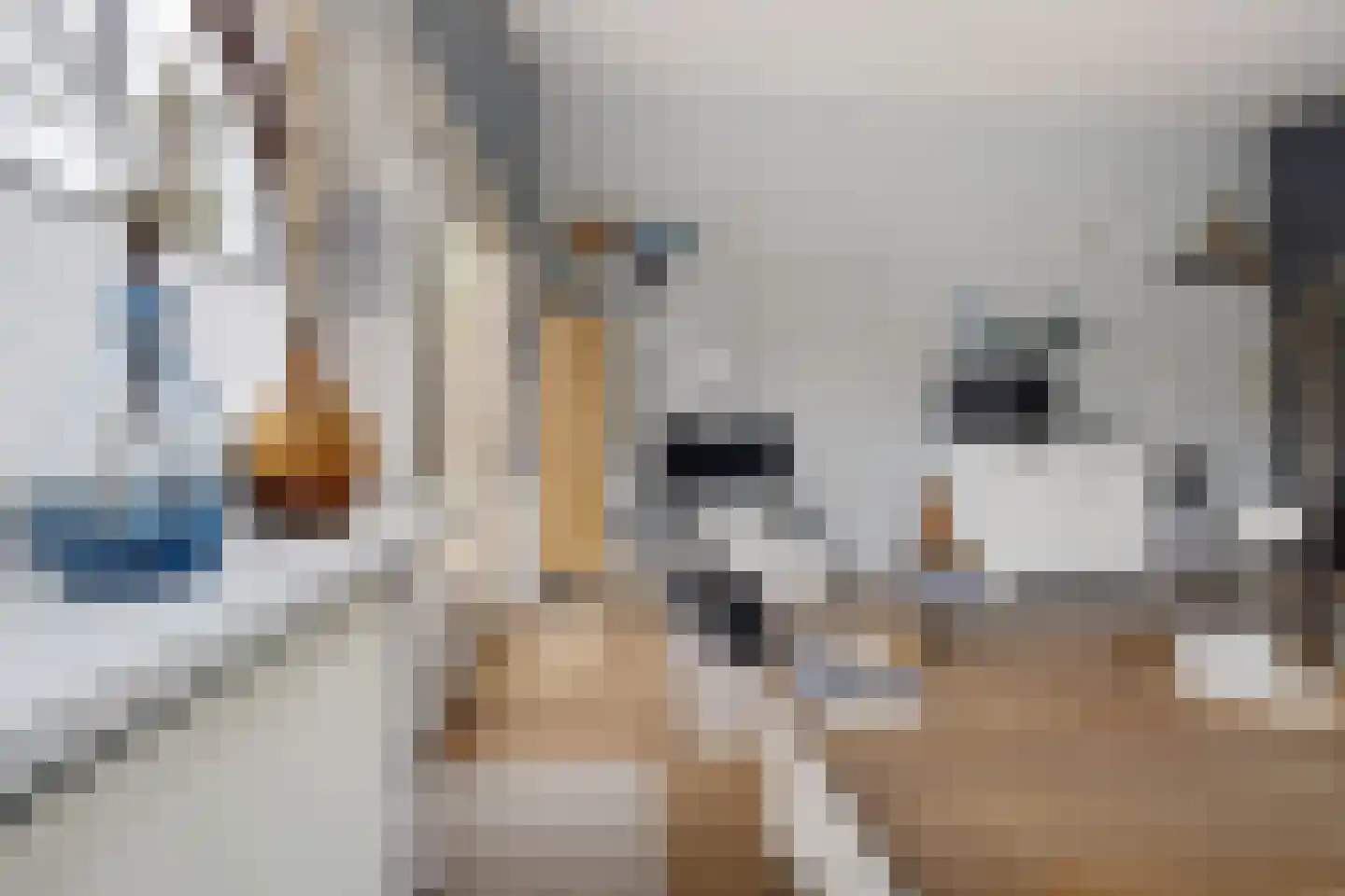 Raadhuisstraat 27 h87 Dirkshorn thumbnail 16