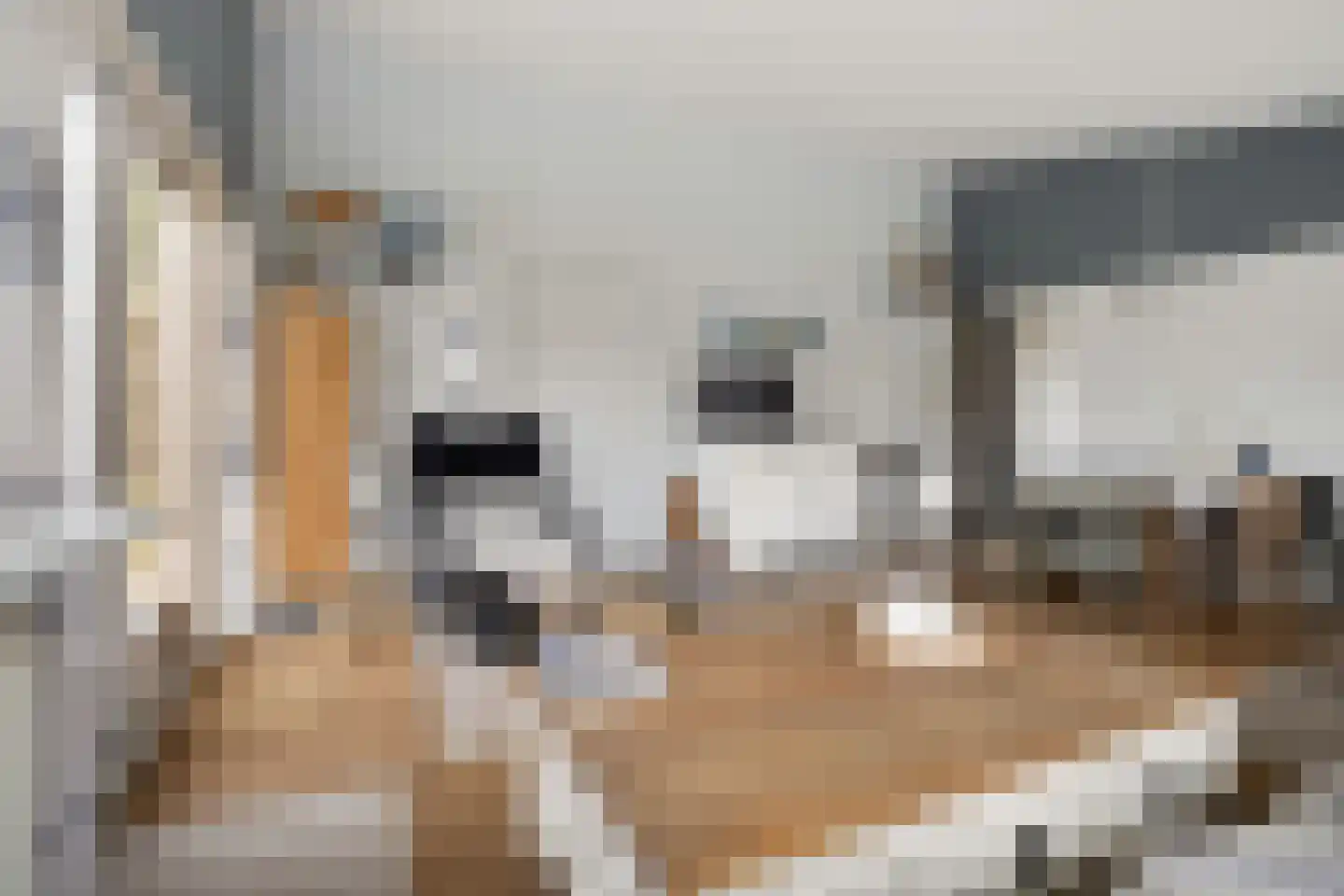 Raadhuisstraat 27 h87 Dirkshorn thumbnail 17