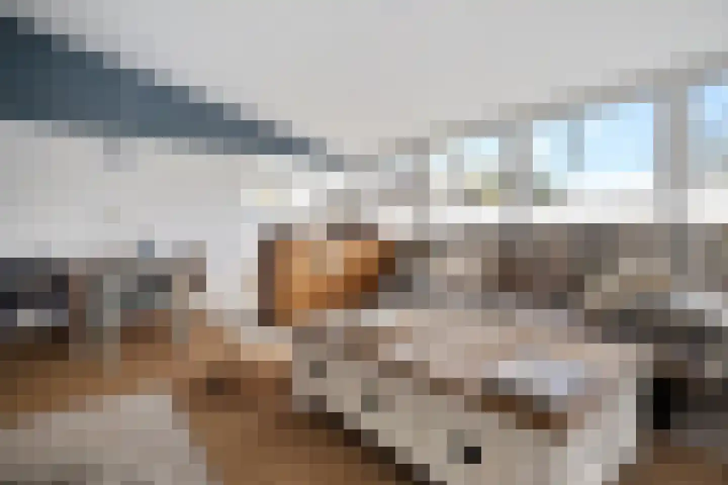 Raadhuisstraat 27 h87 Dirkshorn thumbnail 18
