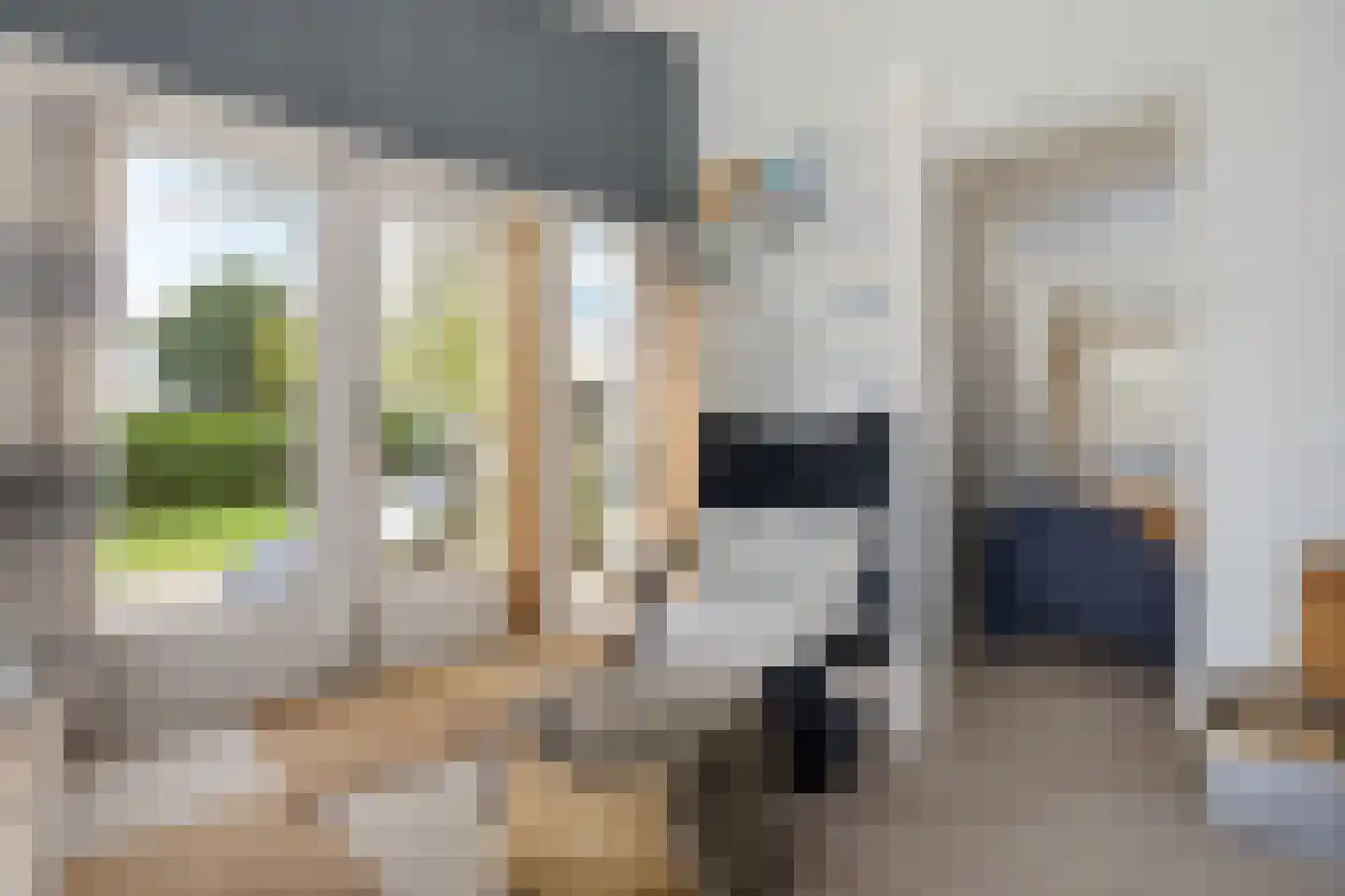 Raadhuisstraat 27 h87 Dirkshorn thumbnail 19