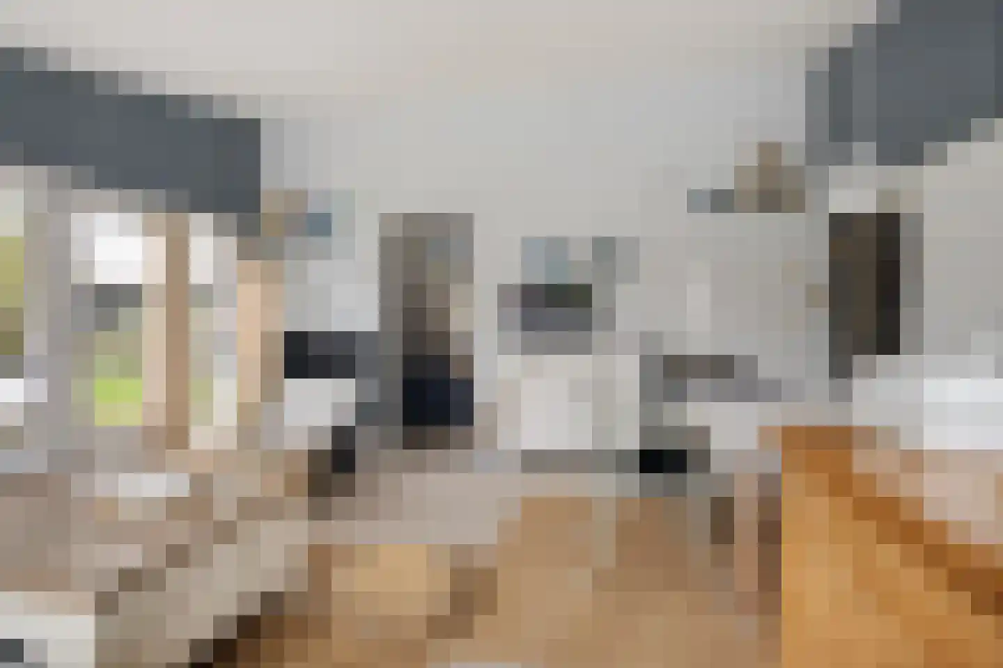 Raadhuisstraat 27 h87 Dirkshorn thumbnail 21