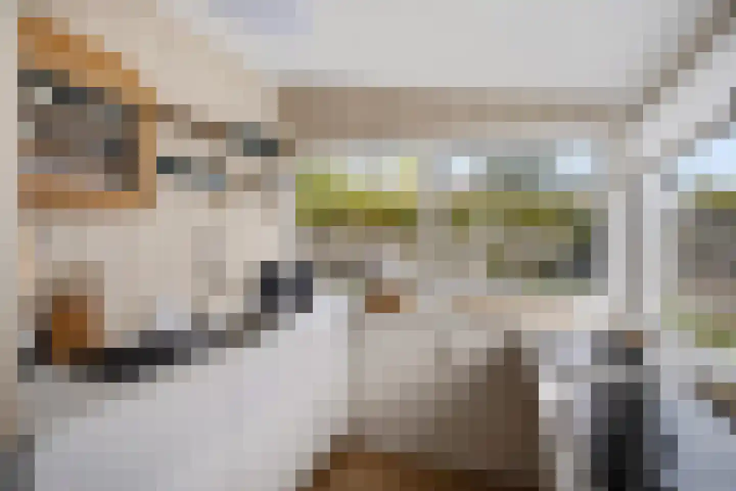 Raadhuisstraat 27 h87 Dirkshorn thumbnail 22