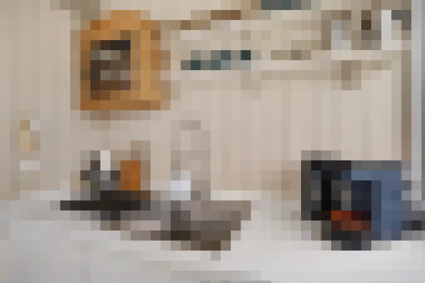 Raadhuisstraat 27 h87 Dirkshorn thumbnail 23