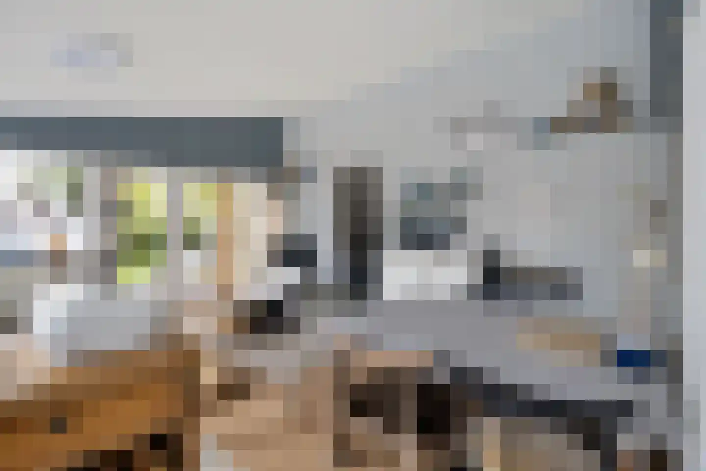Raadhuisstraat 27 h87 Dirkshorn thumbnail 26
