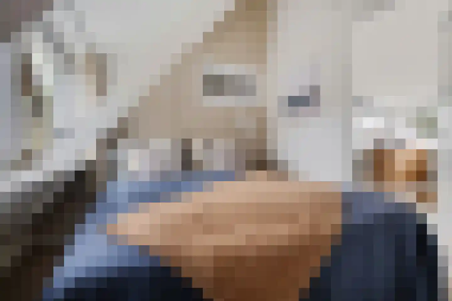 Raadhuisstraat 27 h87 Dirkshorn thumbnail 31