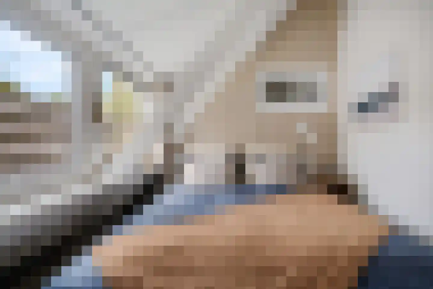 Raadhuisstraat 27 h87 Dirkshorn thumbnail 32
