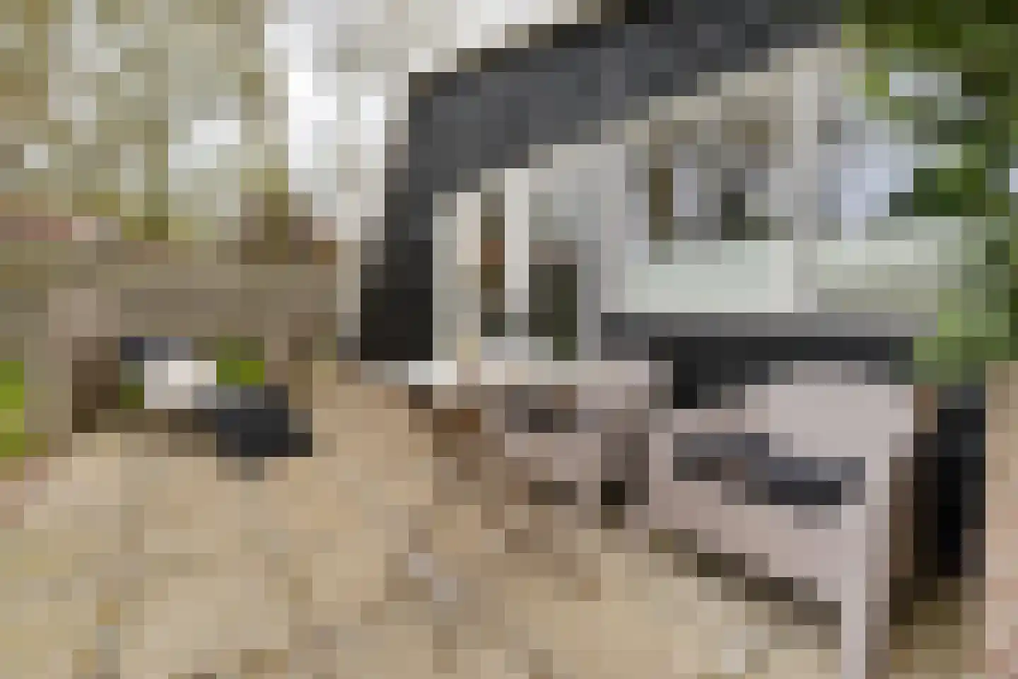 Raadhuisstraat 27 h87 Dirkshorn thumbnail 4