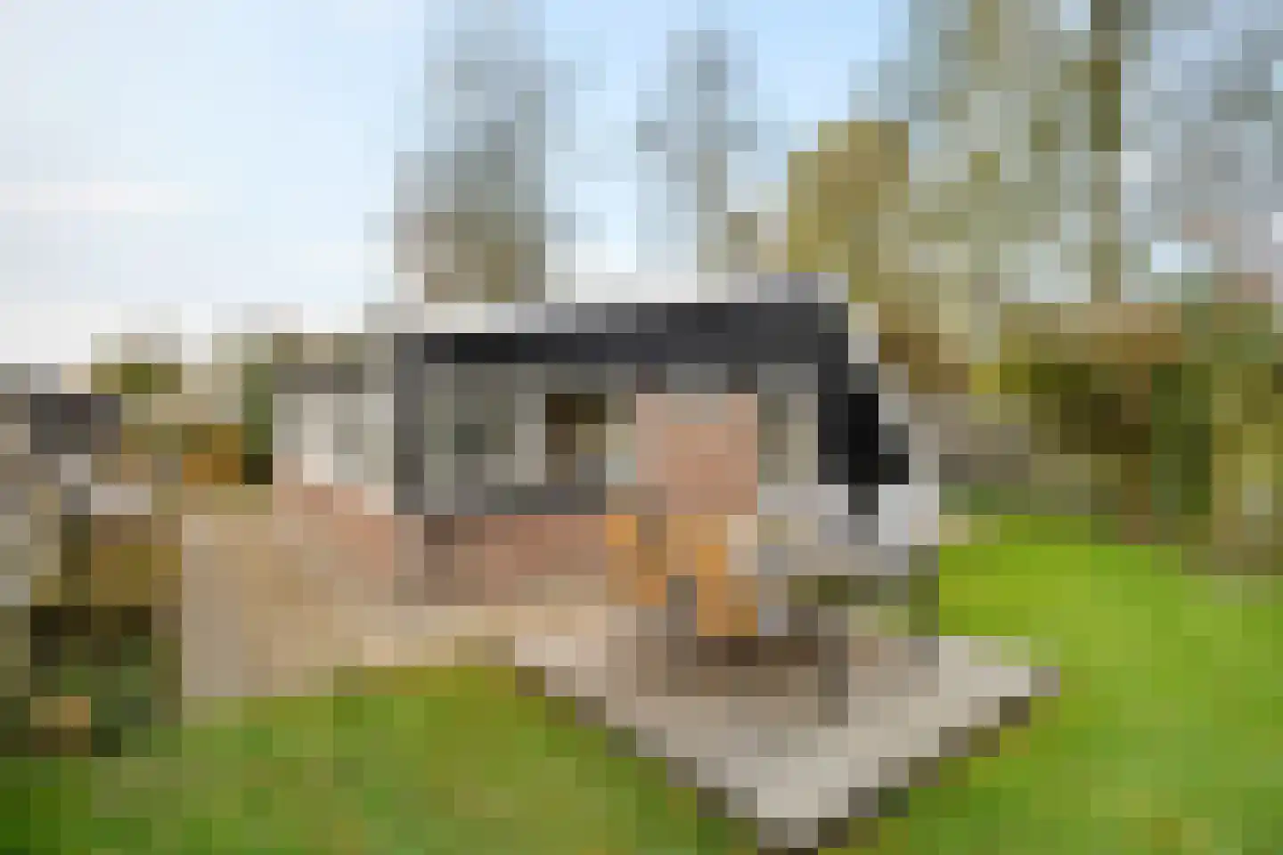 Raadhuisstraat 27 h87 Dirkshorn thumbnail 6