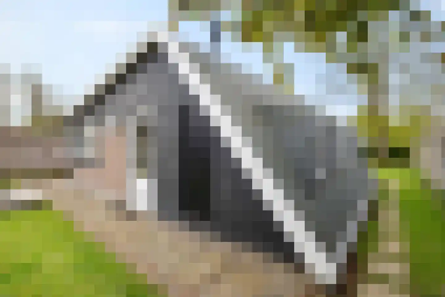 Raadhuisstraat 27 h87 Dirkshorn thumbnail 9