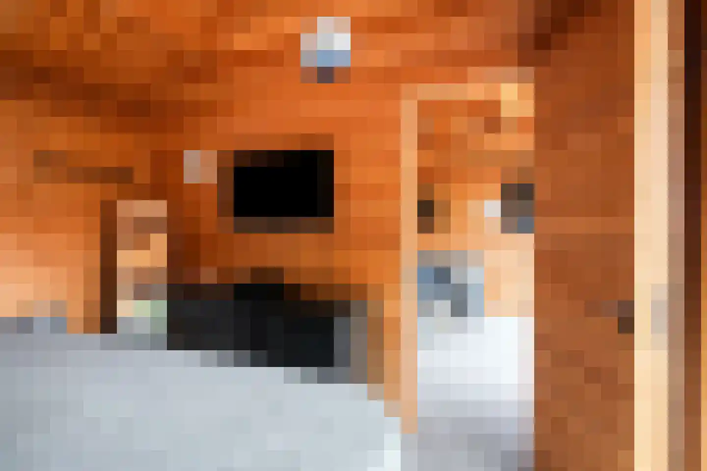 Raadhuisstraat 27 Nuland thumbnail 38