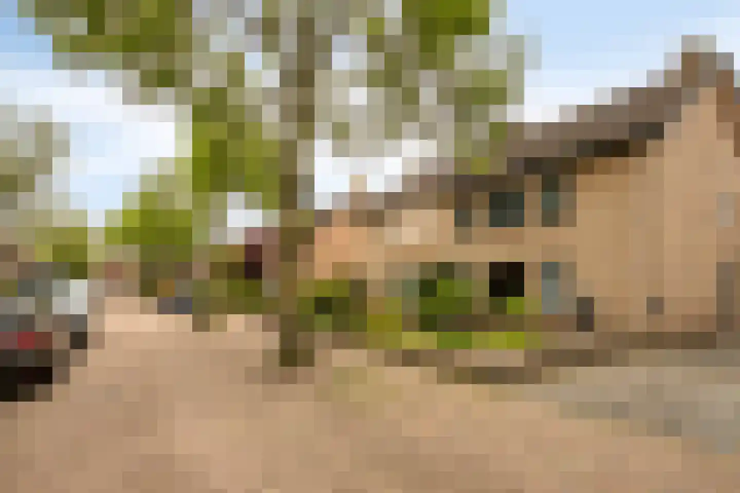 Raadhuisstraat 27 Nuland thumbnail 45