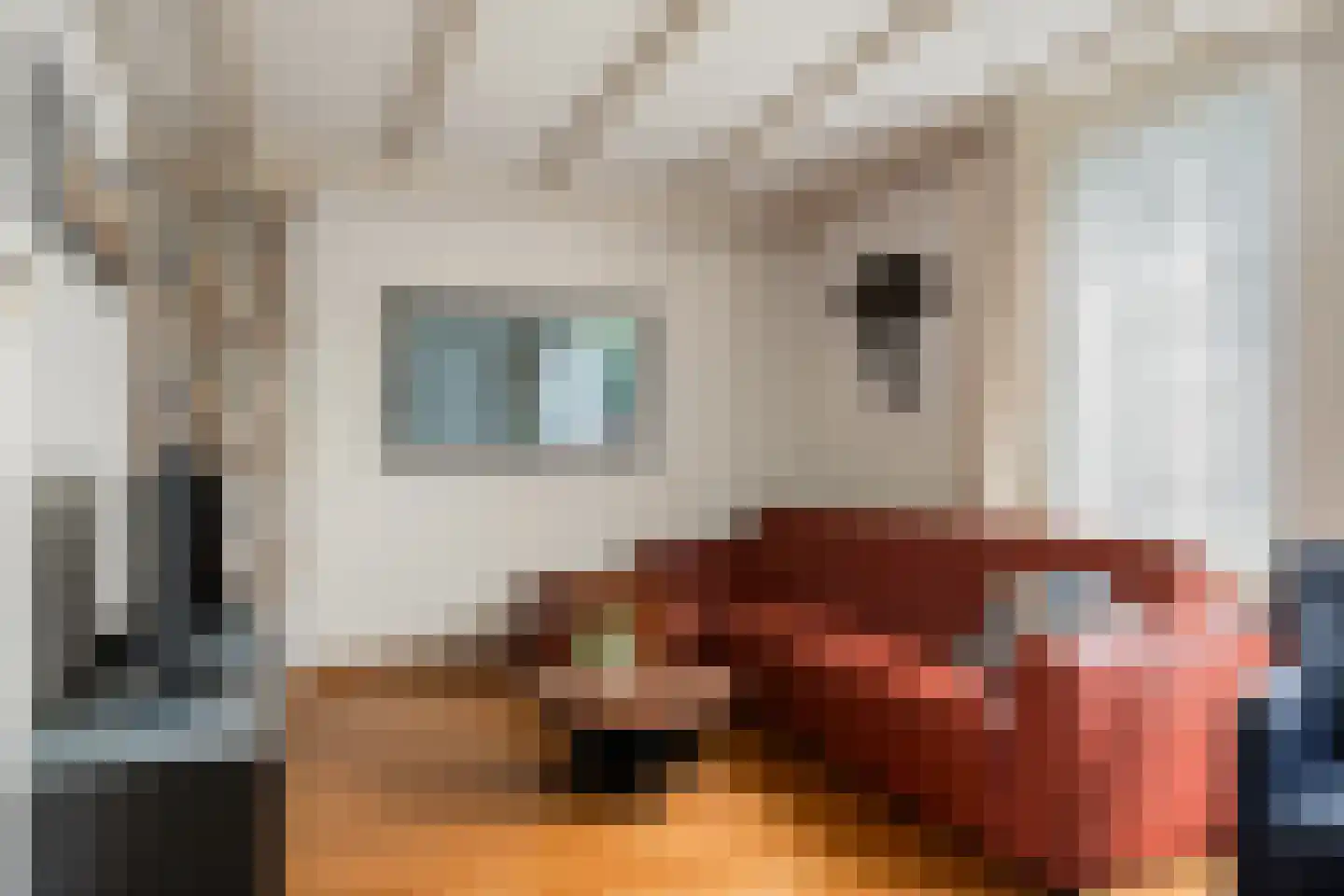 Raadhuisstraat 27 Nuland thumbnail 6
