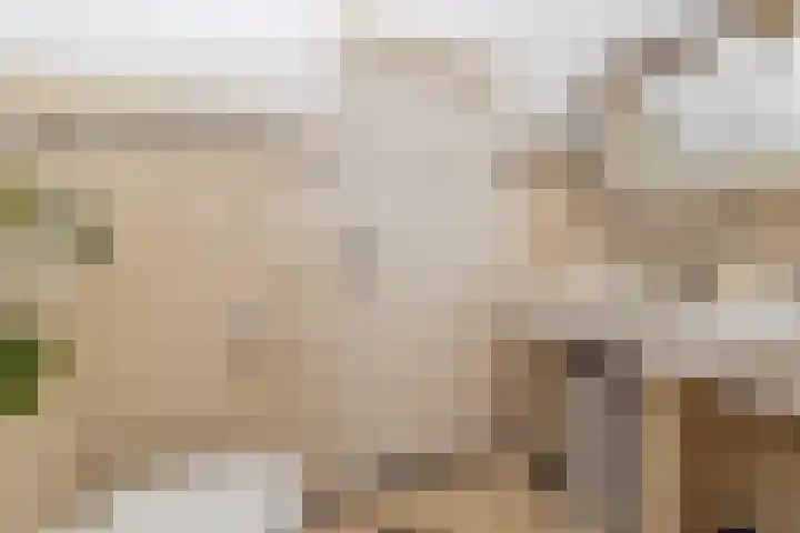 Raadhuisstraat 27 Urmond thumbnail 24