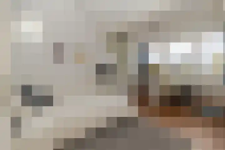 Raadhuisstraat 27 Urmond thumbnail 26