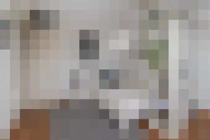 Raadhuisstraat 27 Urmond thumbnail 27