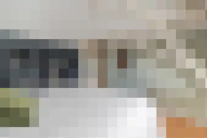 Raadhuisstraat 27 Urmond thumbnail 29