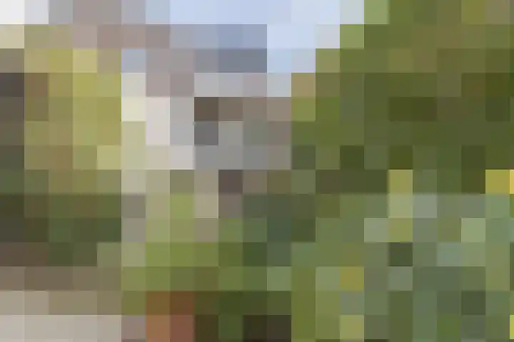 Raadhuisstraat 27 Urmond thumbnail 34