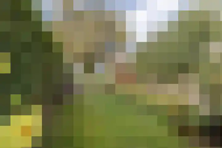 Raadhuisstraat 27 Urmond thumbnail 35