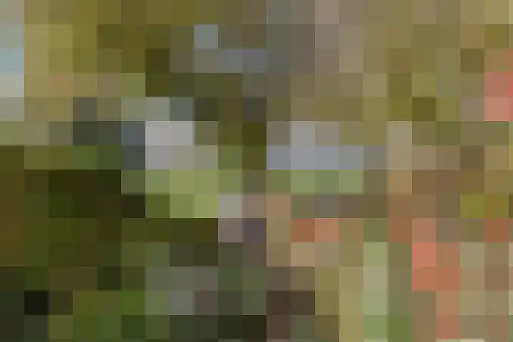 Raadhuisstraat 27 Urmond thumbnail 36