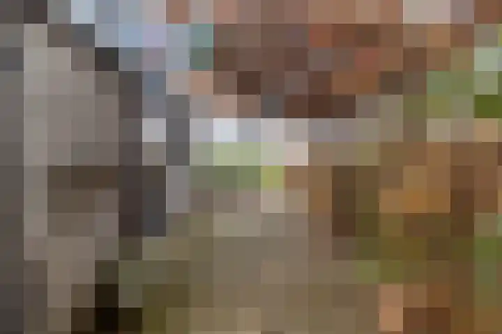 Raadhuisstraat 27 Urmond thumbnail 38
