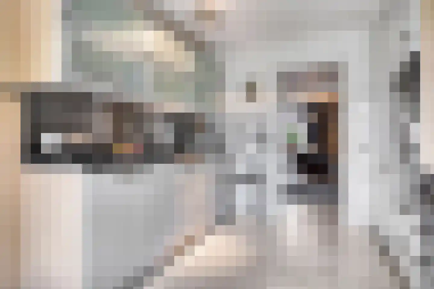 Raadhuisstraat 278 Best thumbnail 21