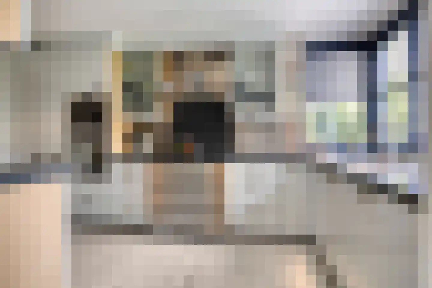 Raadhuisstraat 278 Best thumbnail 22