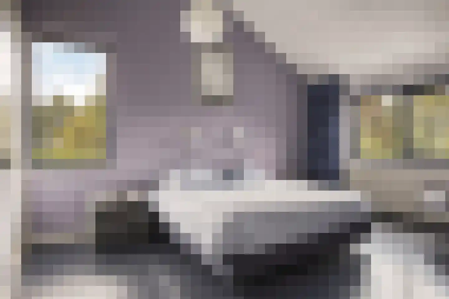 Raadhuisstraat 278 Best thumbnail 27