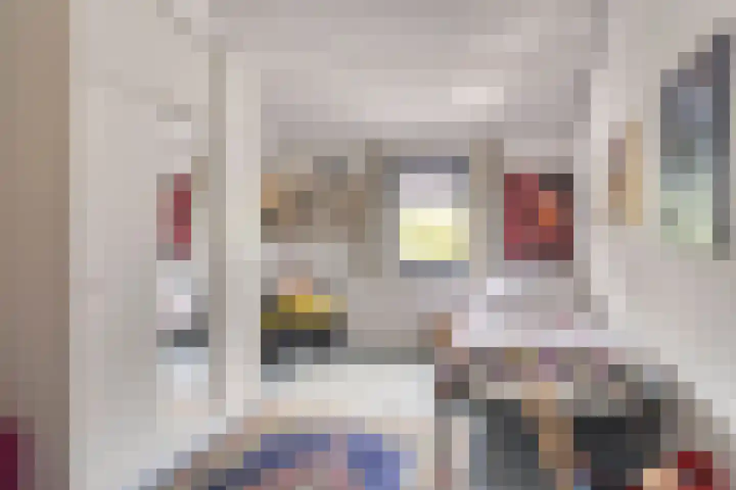 Raadhuisstraat 278 Best thumbnail 35