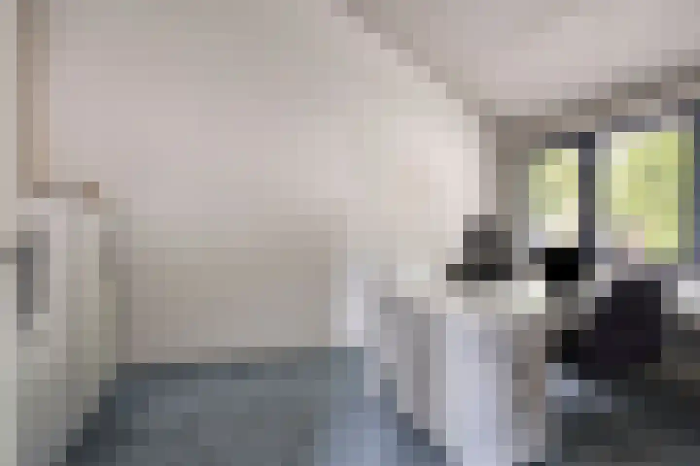 Raadhuisstraat 278 Best thumbnail 43