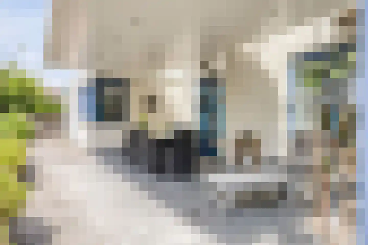 Raadhuisstraat 278 Best thumbnail 45